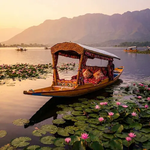 Srinagar